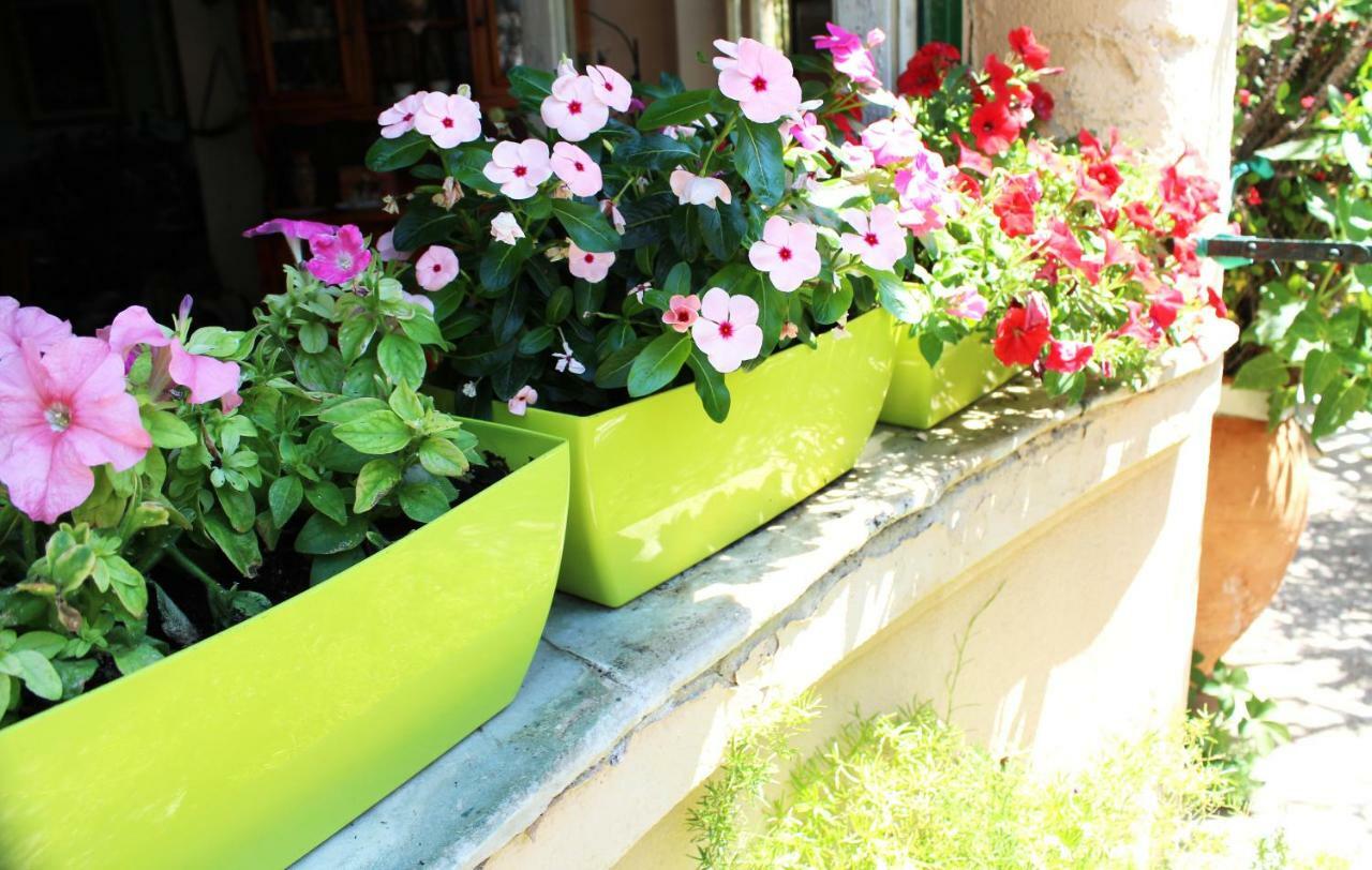 Il Giardino Di Laura Private Rooms Mondello Bagian luar foto